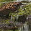 thumbs/IMG_6487.jpg